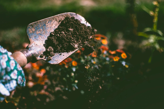 The Surprising Health Benefits of Getting Dirty: Why Garden Soil Is Good for You