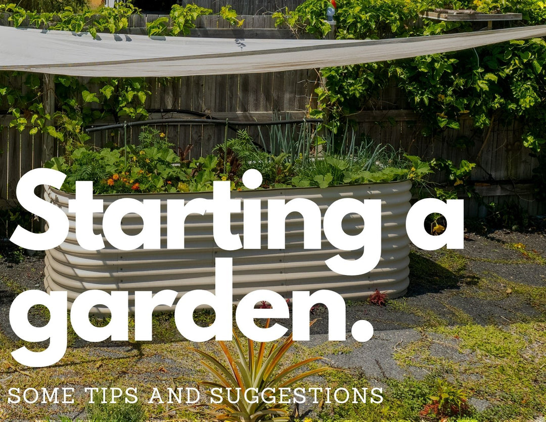Starting a garden from scratch