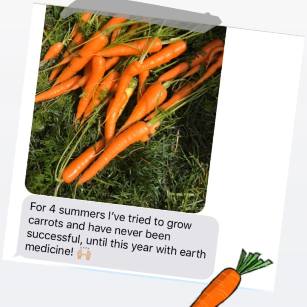 Customer message: first successful carrot harvest in four summers, grown with Earth Medicine