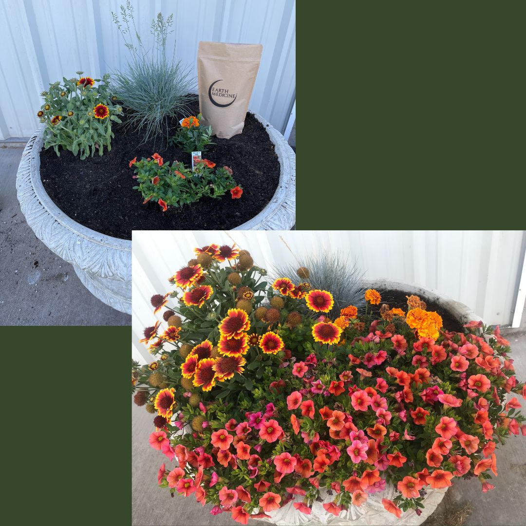 5lb Bag Organic Microbial Fertilizer